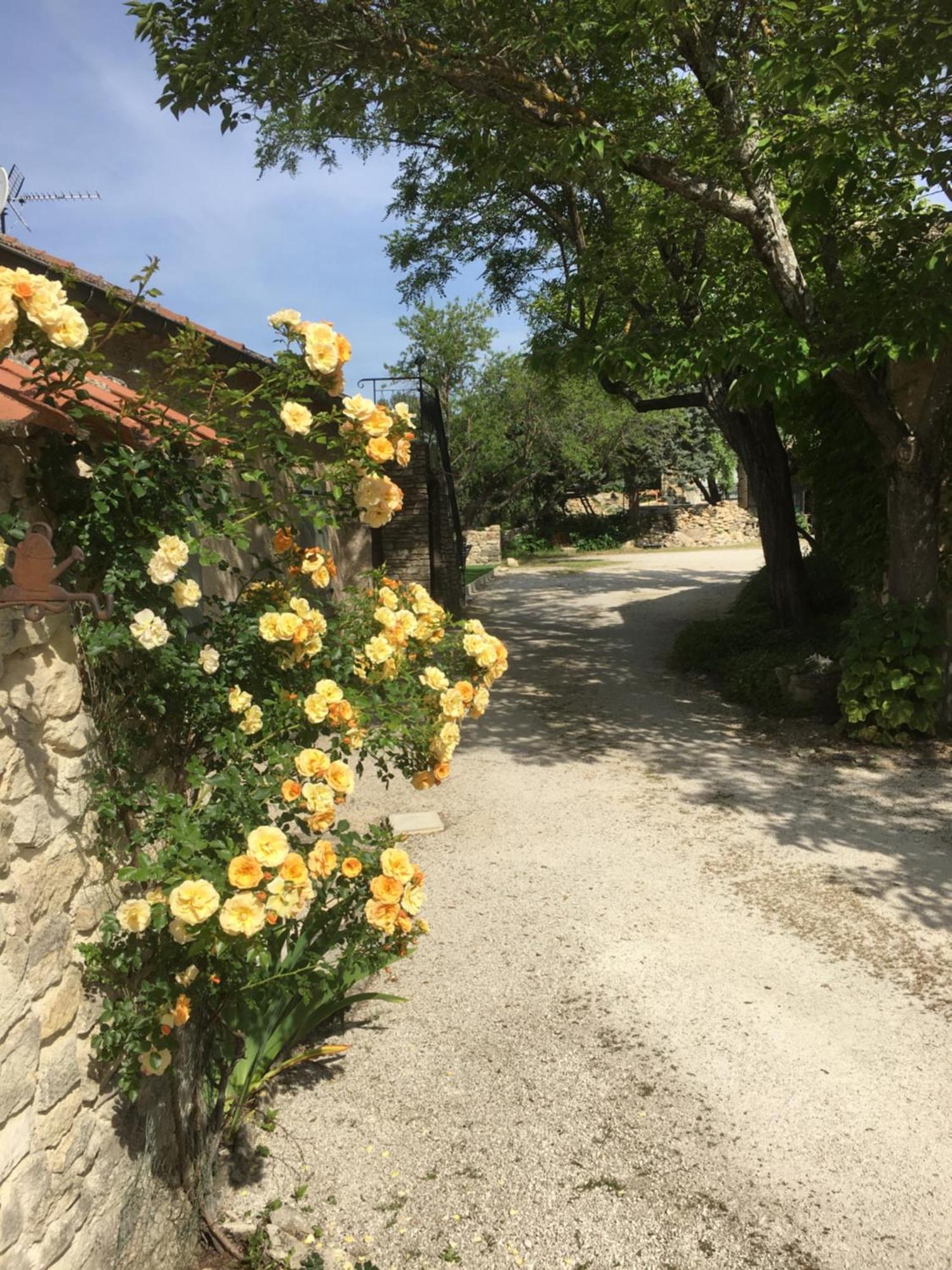 Les Juliens Lägenhet Gordes Exteriör bild